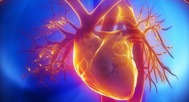 Angina Without Obstructive Stenosis: No Longer a ‘Black Box’ Mystery, Say ExpertsAngina Without Obstructive Stenosis: No Longer a ‘Black Box’ Mystery, Say Experts