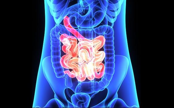 EWTOPIA 75: Ezetimibe Bests Dietary Counseling Alone in Lowering Cardiovascular Risk for Elderly Japanese Patients 