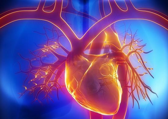 Abnormal Coronary Reactivity in Women Portends Added CV, Death Risk in the Next Decade