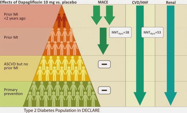 New DECLARE-TIMI 58 Data Shine a Light on Diabetes Patients Most Likely to Benefit From Dapagliflozin