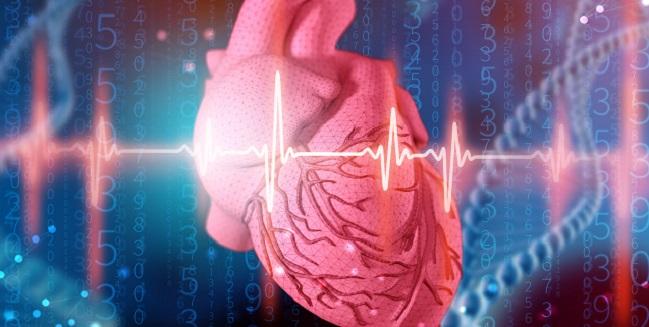 Genetic Data Hint at Causal Link Between High BMI and Cardiovascular Diseases