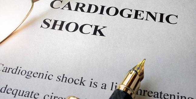 SCAI Shock Definition Tracks Well With Mortality in Cardiac ICU