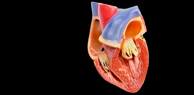 Reduced-Dose Rivaroxaban May Be an Option After LAA Occlusion, ADRIFT Hints