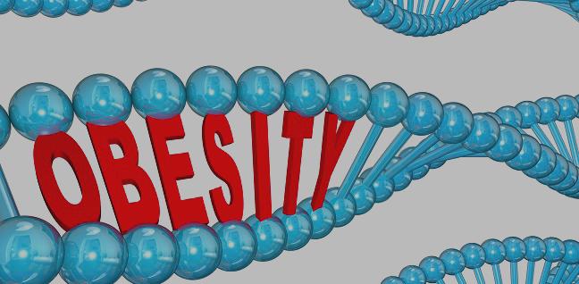 Genetics Only Weakly Predicts Midlife BMI for Young Adults