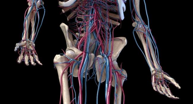 Venous Stents: Long-term Follow-up Plus a New Contender