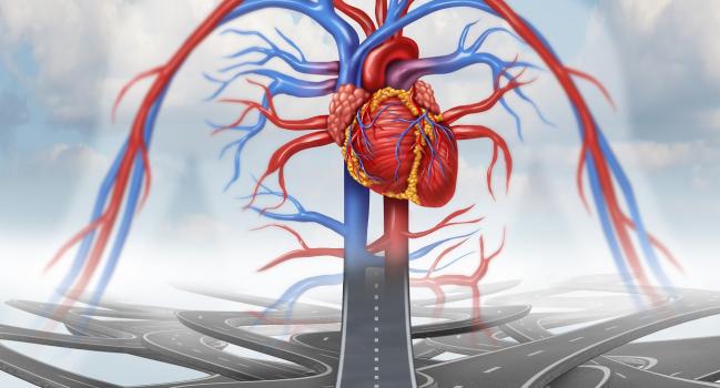 Transradial Route Gains Support as Default for Secondary TAVR Access 