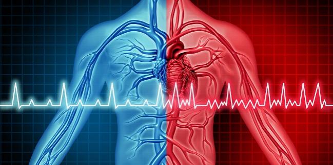 Ablation Cuts A-fib Recurrences, Burden Through 5 Years in CABANA