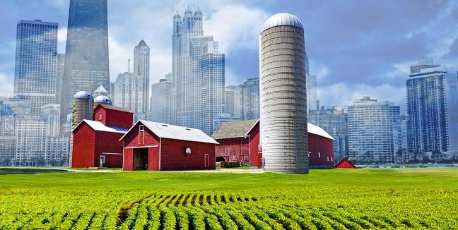 Rural-Urban Gap Widens for Cardiometabolic Health Disparities