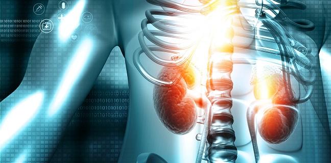 Renal Function Gains Seen in CKD Patients After TAVR