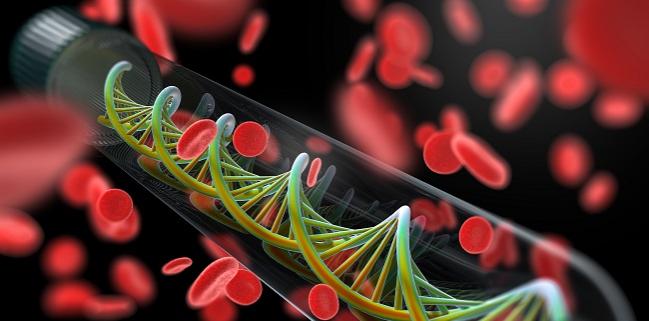 Lp(a) and LPA Genetic Risk Score Both Predict Incident ASCVD: UK Biobank