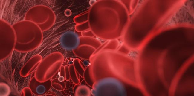 Study Affirms Thrombotic Risk in COVID-19
