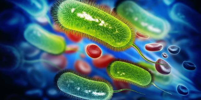 H. Pylori in ACS: Could Tests and Treatment Beat Back the Bleeds?