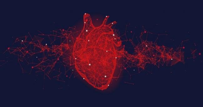 Study identifies micro clots as cause of death in some severely ill  COVID-19 patients