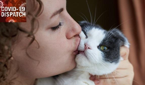 COVID-19: TCTMD’s Daily Dispatch for April Week 3