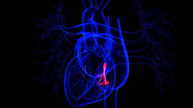 Tricuspid Trio: TRISCEND, CLASP TR, and TriBAND Studies Show Advances 