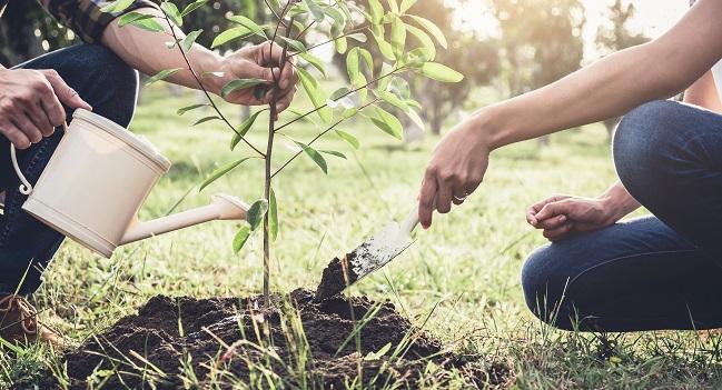 Studies Reveal Surprising Benefits of Smoking Cessation and ‘Greenness’