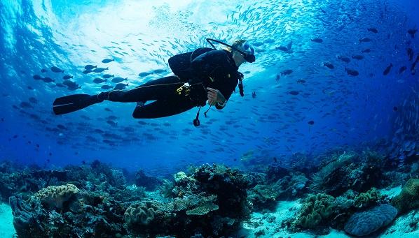 New Data Back Closing Large PFOs to Prevent Decompression Sickness in Divers