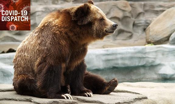 COVID-19: TCTMD’s Daily Dispatch for August Week 4