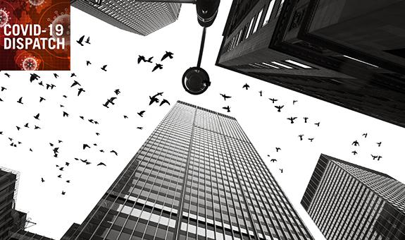 COVID-19: TCTMD’s Daily Dispatch for September Week 4