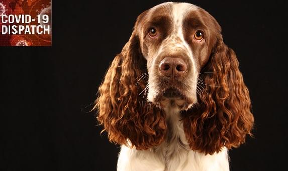 COVID-19: TCTMD’s Daily Dispatch for August Week 2