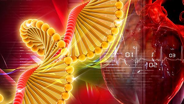 Polygenic Risk Score IDs People at Risk for Early MI, Death