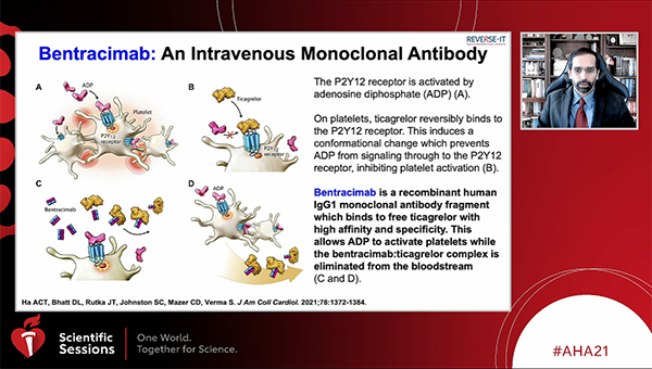 Bentracimab Rapidly, Safely Reverses Ticagrelor in Early REVERSE-IT Data