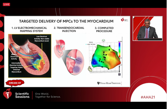 Trial of Cell Therapy for HF Misses Primary Endpoint, but Signals a Path Forward