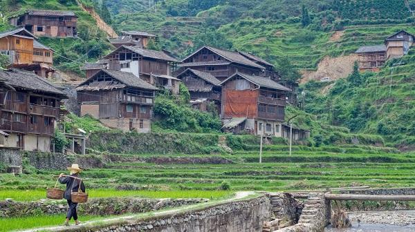 Village-Level Intervention Nets Big BP Control Gains in Rural China