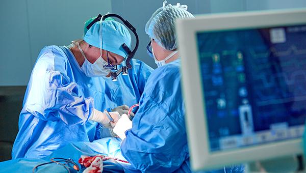 Ross Procedure Again Surpasses Bioprosthetic AVR: Toronto Experience