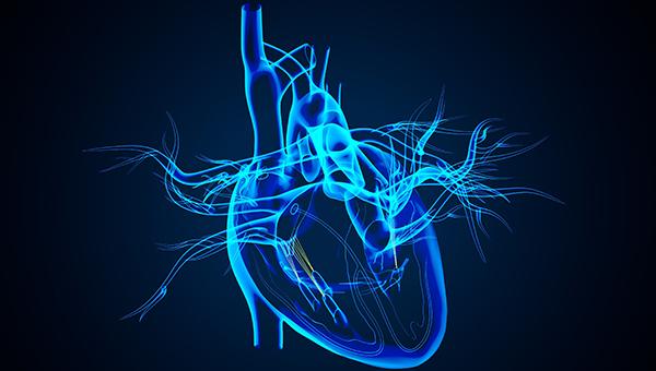 Revascularization’s Benefits in HFrEF Linked to Gains in LV Function
