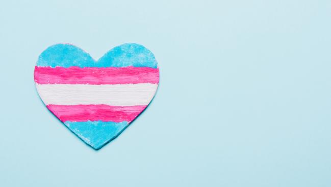 Cardiac Biomarkers Reflect Sex Hormones in Transgender People