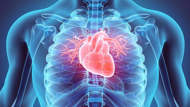 New Chronic Heart Disease Guidelines Update Roles of GDMT, Imaging, and Revascularization 
