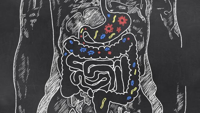 Strep Bacteria in Gut Flora Tied to Subclinical CVD