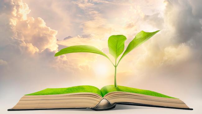 Chaos and Questions: New Public-Access Policies Put Journals in Flux