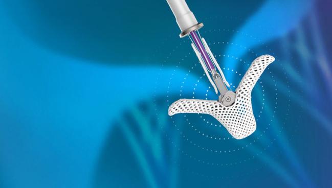 FDA Advisors Set to Take on TriClip for TR as TRILUMINATE Questions Loom