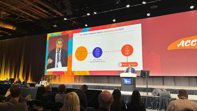 IMPROVE-HCM: Ninerafaxstat May Fill a Niche in Nonobstructive HCM