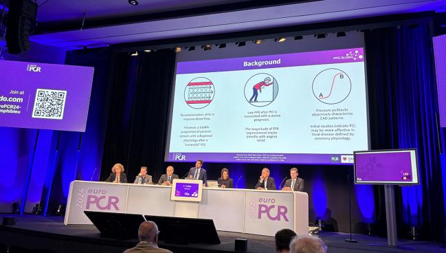 FFR-Derived Metric Can Identify Focal CAD Best Suited to PCI