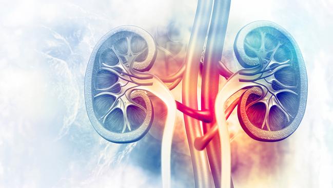 Kidney Events High in Older Patients After HF Hospitalization