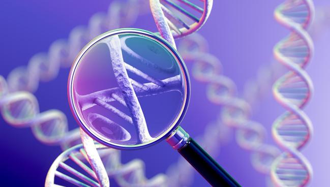 Genetic Tests for Predicting Clopidogrel Response Gain Traction: AHA