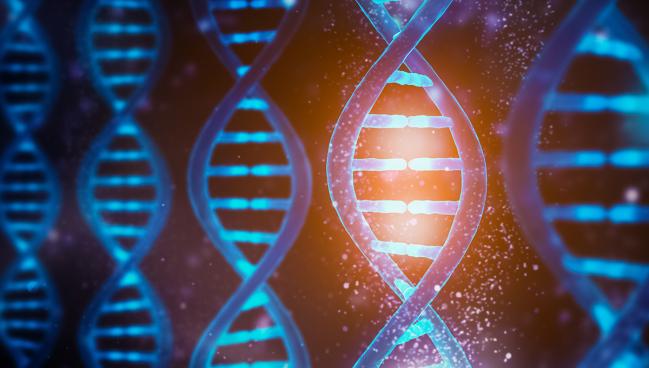 Platelet Hyperreactivity Score May Improve CVD Risk Detection