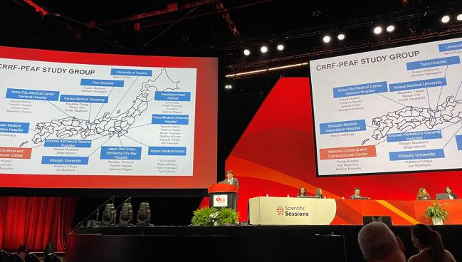 Two Trials Provide Insights Into Catheter Ablation Options for Persistent AF