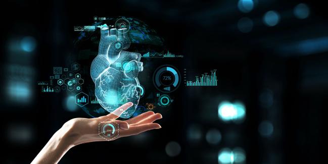 Pressure-Based Physiological Testing Results Diverge Between LAD, LCx