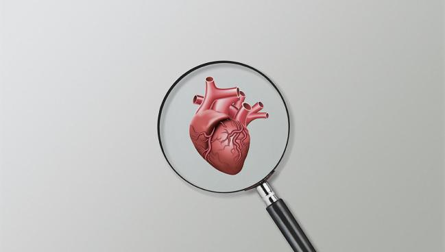 CMR May Improve Assessment of ICD Need in Cardiac Sarcoidosis