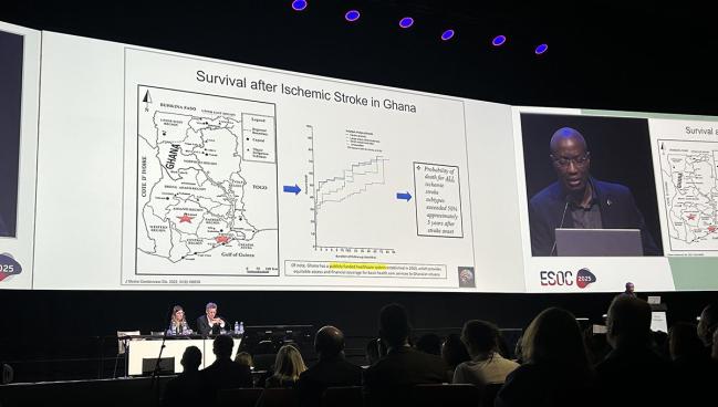 Simple, Phone-Based Strategy Improves BP Control in Stroke Survivors