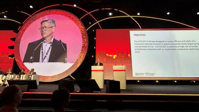 Boosting Potassium Helps Patients at High Risk for Ventricular Arrhythmias