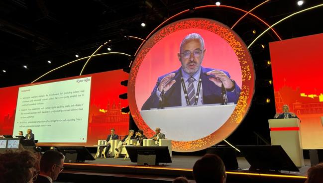 DOUBLE-CHOICE: Minimalist Anesthesia for TAVI Comparable to Standard Care