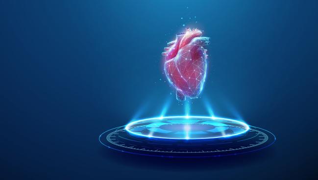 AI Model Saves Time, Increases Accuracy of Echo Measurements