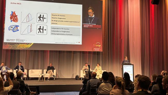 DanGer Shock: Impella Tied to Better Survival Even 10 Years Later