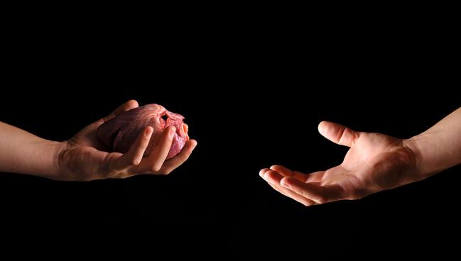 Cardiac Transplant in Midst of ‘Revolution,’ but Public Trust Is Fragile