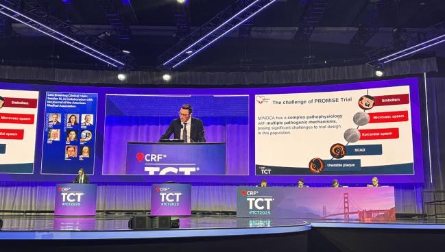 Tailored Testing and Care Ease Angina for MINOCA Patients: PROMISE